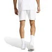 Herren Shorts adidas  Club Short White