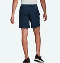 Herren Shorts adidas Own The Run