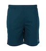 Herren Shorts FZ Forza  Landos M Shorts Poseidon