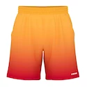 Herren Shorts Head  Power II Shorts Men BNRD M