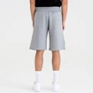 Herren Shorts New Era  Colour Block Short NBA Boston Celtics