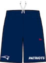 Herren Shorts New Era  Team Logo Wordmark NFL New England Patriots S