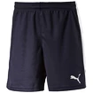 Herren Shorts Puma  Pitch