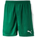 Herren Shorts Puma  Pitch