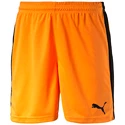 Herren Shorts Puma  Pitch