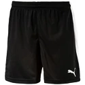 Herren Shorts Puma  Pitch