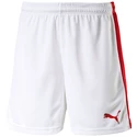 Herren Shorts Puma  Pitch