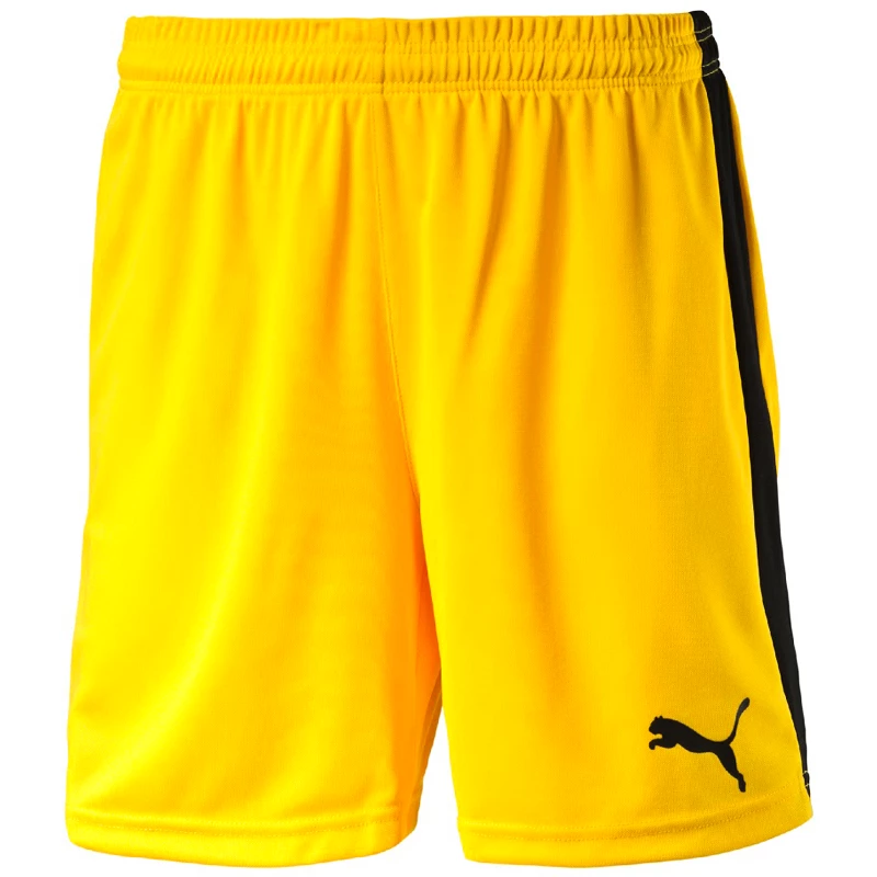 Puma pitch short online