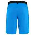 Herren Shorts Salewa  Puez 3 DST Cloisonne