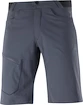 Herren Shorts Salomon  Wayfarer Shorts Ebony 48