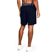 Herren Shorts Under Armour