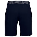 Herren Shorts Under Armour