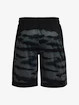 Herren Shorts Under Armour  BASELINE 10'' PRINT SHORT-BLK