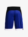 Herren Shorts Under Armour  BASELINE 10'' SHORT-BLU