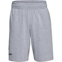 Herren Shorts Under Armour  COTTON BIG LOGO SHORTS gray