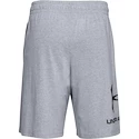 Herren Shorts Under Armour  COTTON BIG LOGO SHORTS gray