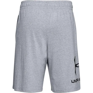 Herren Shorts Under Armour  COTTON BIG LOGO SHORTS gray XXL