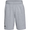 Herren Shorts Under Armour  COTTON BIG LOGO SHORTS gray XXL