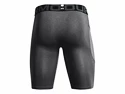 Herren Shorts Under Armour  HG Lng Shorts gray