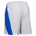 Herren Shorts Under Armour  Launch SW 7"  gray