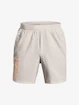 Herren Shorts Under Armour  Launch SW 7'' WM Short-GRY