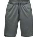 Herren Shorts Under Armour  Lighter Longer Short S