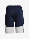 Herren Shorts Under Armour  Raid 2.0 Shorts-NVY