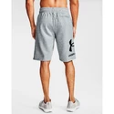 Herren Shorts Under Armour  Rival FLC Big Logo Shorts gray