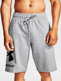 Herren Shorts Under Armour Rival FLC Big Logo Shorts gray