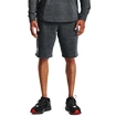 Herren Shorts Under Armour  RIVAL TERRY SHORT gray