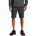 Herren Shorts Under Armour  RIVAL TERRY SHORT gray