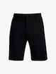 Herren Shorts Under Armour  Storm Drive Taper Storm Short-BLK