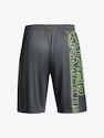 Herren Shorts Under Armour  Tech WM Graphic Short-GRY