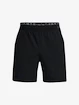 Herren Shorts Under Armour  Vanish Woven 6in Shorts-BLK