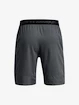 Herren Shorts Under Armour  Vanish Woven 8in Shorts-GRY