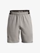 Herren Shorts Under Armour  Vanish Woven 8in Shorts-GRY