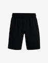 Herren Shorts Under Armour  Woven Graphic Shorts-BLK