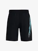 Herren Shorts Under Armour  Woven Graphic Shorts-BLK