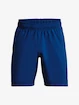 Herren Shorts Under Armour  Woven Graphic Shorts-BLU