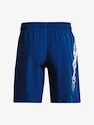 Herren Shorts Under Armour  Woven Graphic Shorts-BLU