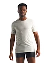 Herren T-Shirt Icebreaker  Anatomica SS Crewe white XL