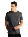 Herren T-Shirt Icebreaker  M Central SS Tee GRITSTONE HTHR