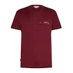 Herren T-Shirt Icebreaker Merino 150 Tech Lite SS T Sing Li Cmp Port