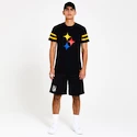 Herren T-Shirt New Era  Elements Tee NFL Pittsburgh Steelers M, Blau