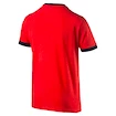 Herren T-Shirt Puma Arsenal FC Fan Slogan 75044906