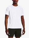 Herren T-Shirt Under Armour  STREAKER TEE-WHT XL