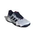 Herren Tennisschuhe adidas  Solematch Control 2 Clay Halo Blue