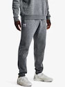 Herren Trainingshose Under Armour  Essential Fleece Jogger-GRY