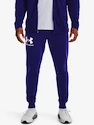 Herren Trainingshose Under Armour  RIVAL TERRY JOGGER-BLU L