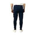 Herrenhose Bauer  Gamechanger Jogger Navy